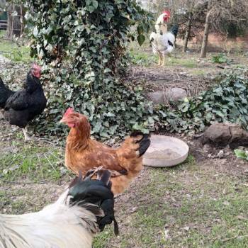 Продается Участок, 1890 м²