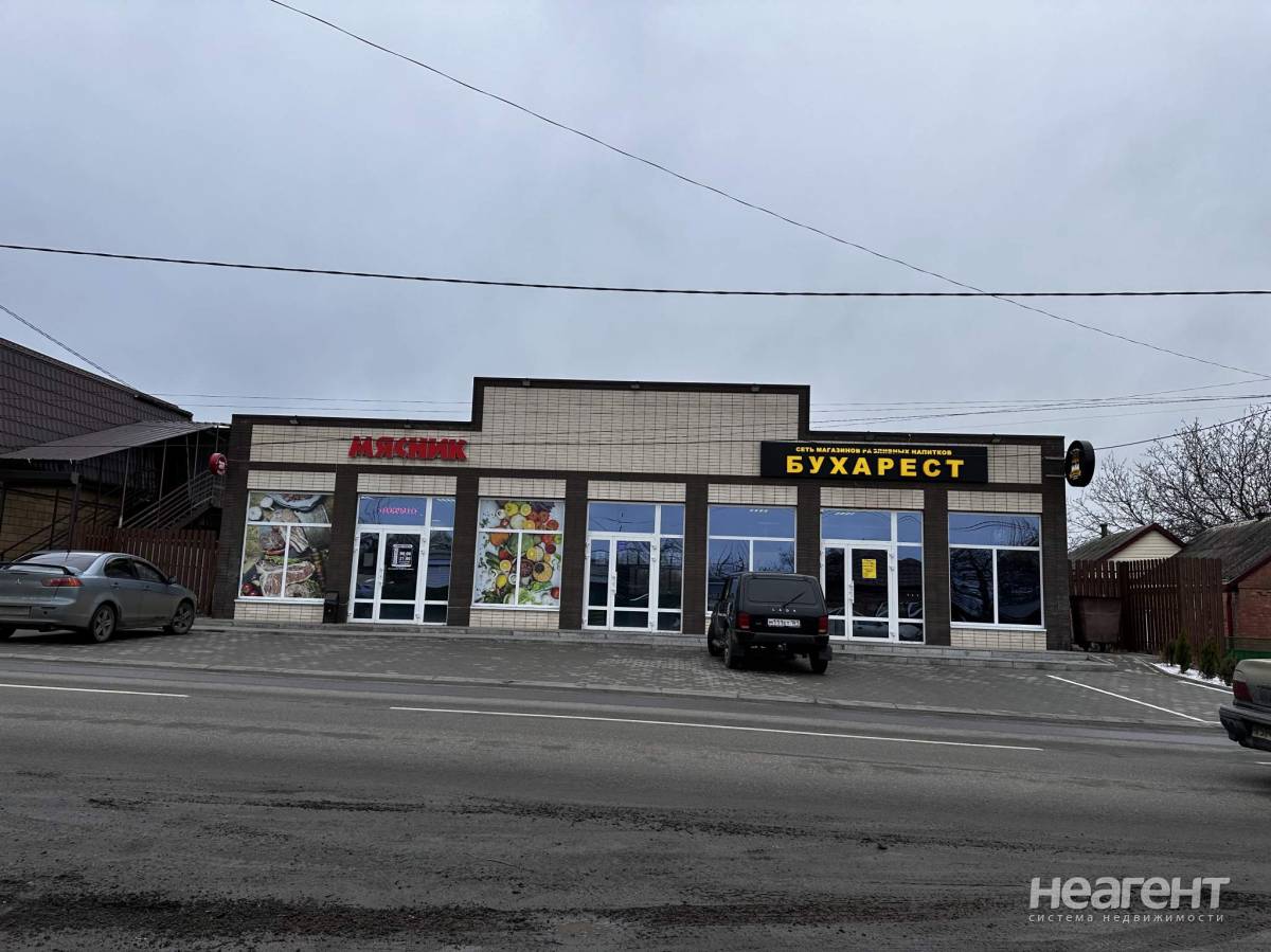 Фотография №2