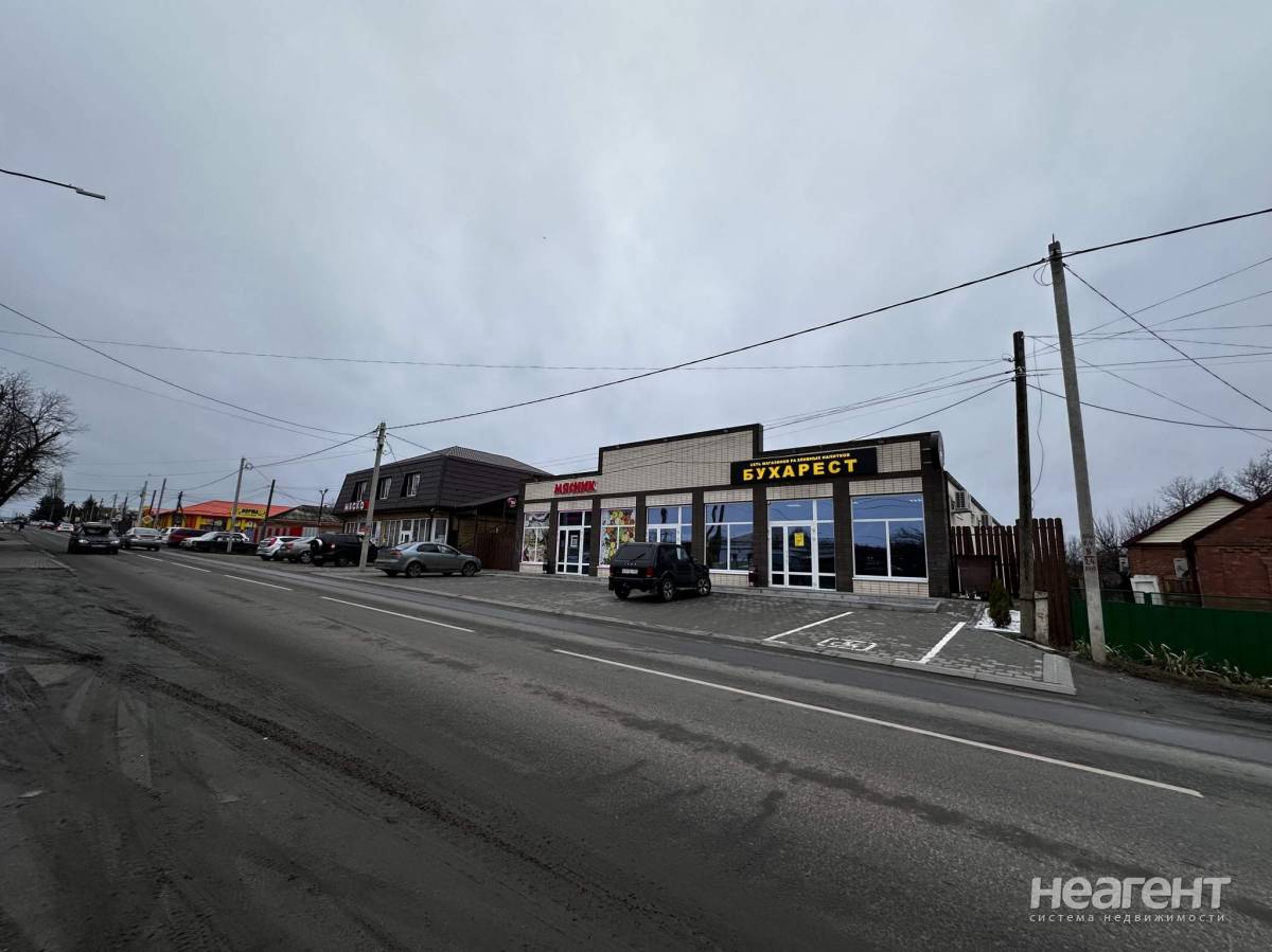 Фотография №3