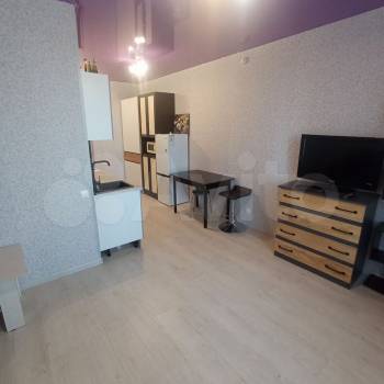 Сдается 1-комнатная квартира, 24,6 м²