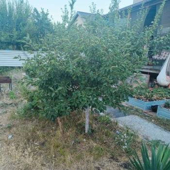 Продается Дом, 150 м²