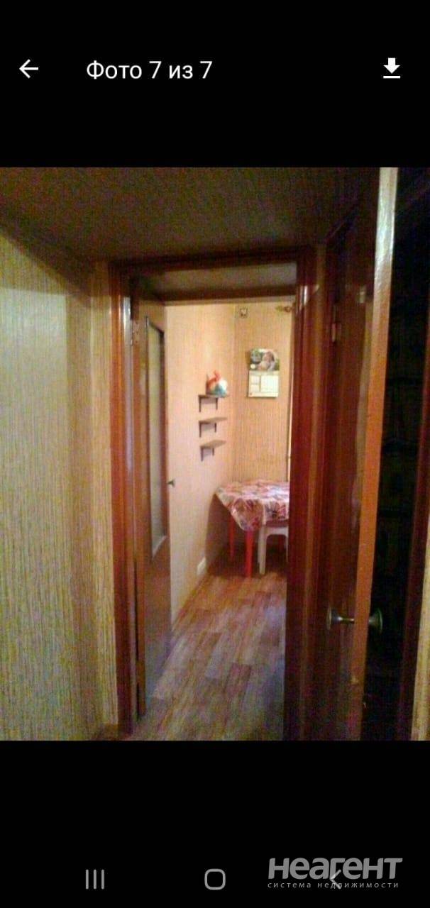 Фотография №5