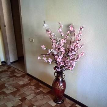 Сдается Комната, 27 м²