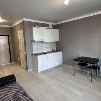 Продается 1-комнатная квартира, 24,5 м²