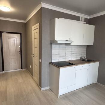 Продается 1-комнатная квартира, 24,5 м²