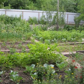 Продается Участок, 710 м²