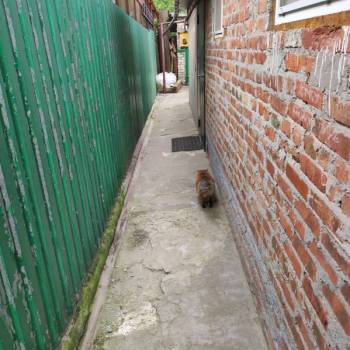 Продается Дом, 60 м²