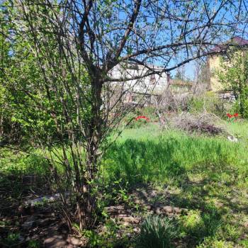 Продается Участок, 615 м²