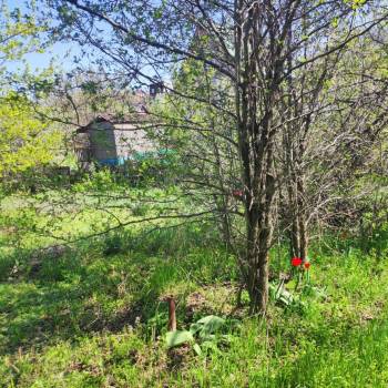 Продается Участок, 615 м²