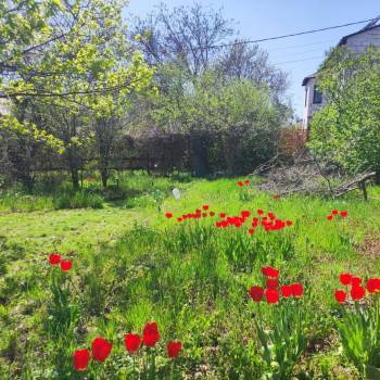 Продается Участок, 615 м²