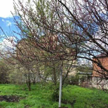 Продается Участок, 900 м²