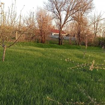 Продается Участок, 1000 м²