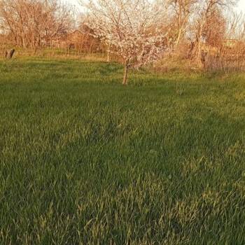 Продается Участок, 1000 м²