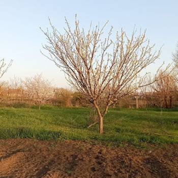 Продается Участок, 1000 м²