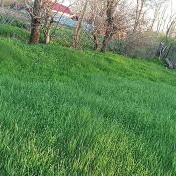 Продается Участок, 1000 м²