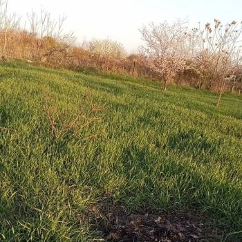 Продается Участок, 1000 м²