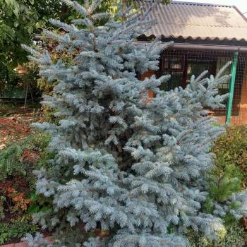 Продается Участок, 600 м²