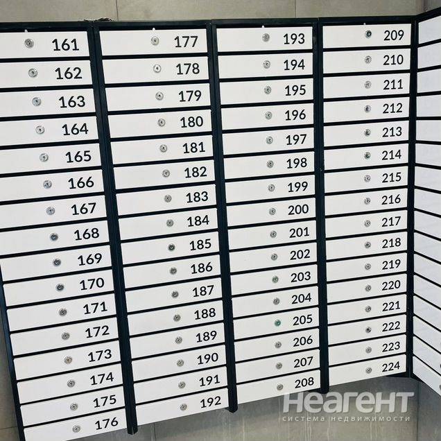 Фотография №5