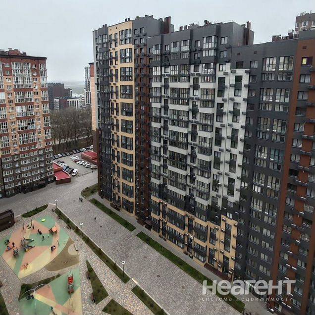 Фотография №2