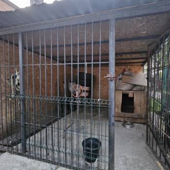 Продается Дом, 120 м²