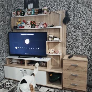 Продается Дом, 26,6 м²