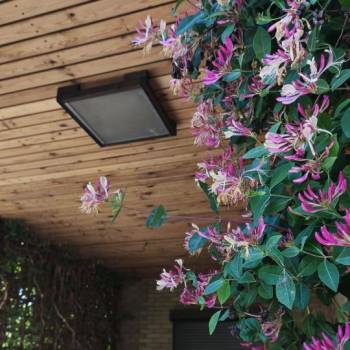 Продается Дом, 321,8 м²