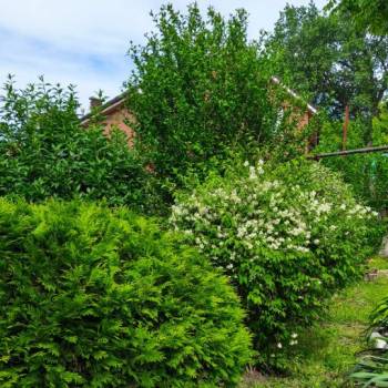 Продается Дом, 321,8 м²