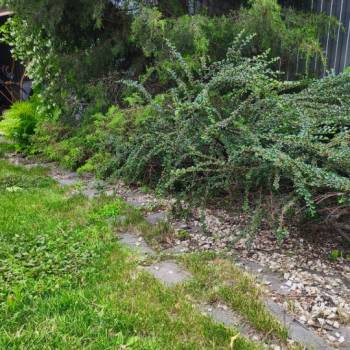 Продается Дом, 321,8 м²