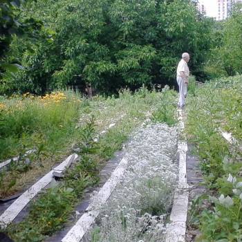 Продается Участок, 550 м²