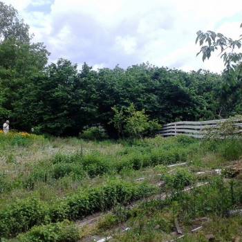 Продается Участок, 550 м²