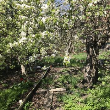 Продается Участок, 588 м²