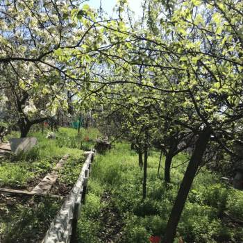 Продается Участок, 588 м²