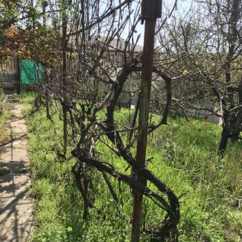 Продается Участок, 588 м²