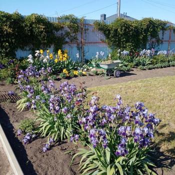 Продается Участок, 600 м²