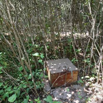 Продается Дом, 0 м²