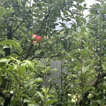 Продается Дом, 141,5 м²