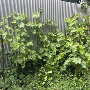 Продается Дом, 141,5 м²