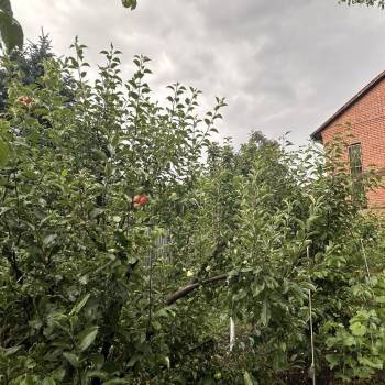 Продается Дом, 141,5 м²