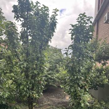 Продается Дом, 141,5 м²