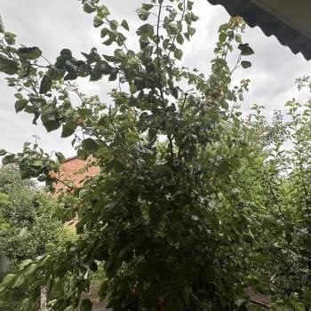 Продается Дом, 141,5 м²