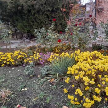 Продается Дом, 280 м²