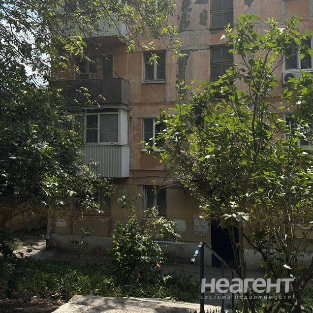 Фотография №2