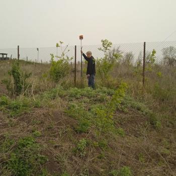 Продается Участок, 1000 м²