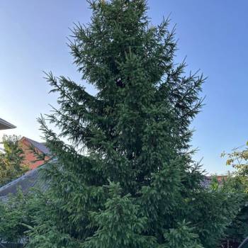 Продается Дом, 131,5 м²