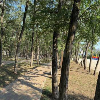 Продается 1-комнатная квартира, 26,7 м²