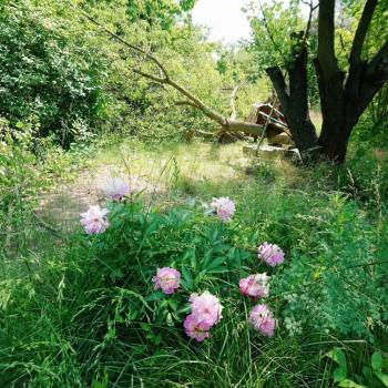 Продается Дом, 162 м²