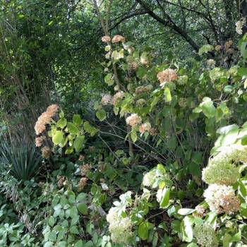 Продается Дом, 162 м²