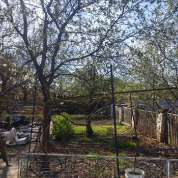 Продается Участок, 230 м²