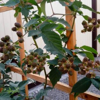 Продается Дом, 150 м²