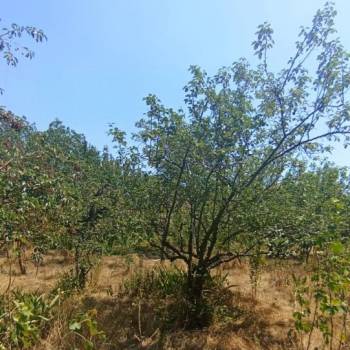 Продается Участок, 800 м²